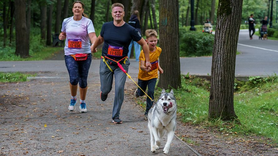 Итоги Четыре Лапы ФЕСТа 2025 