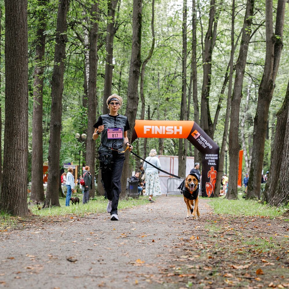 Итоги Четыре Лапы ФЕСТа 2025