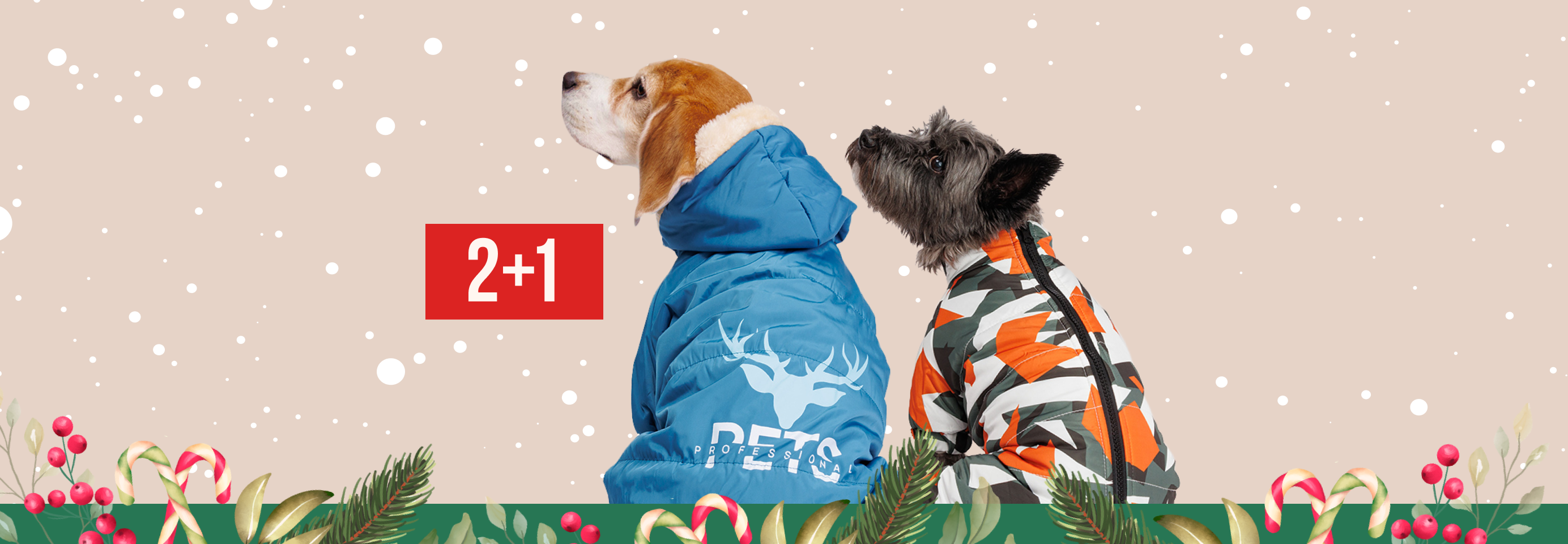 Модный сезон: 2+1 наряд для питомца в подарок