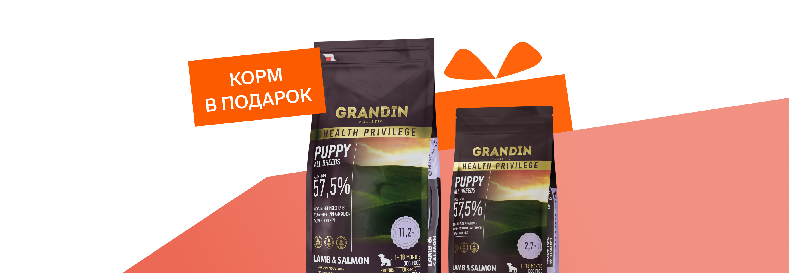 Grandin: сухой корм для собак в подарок