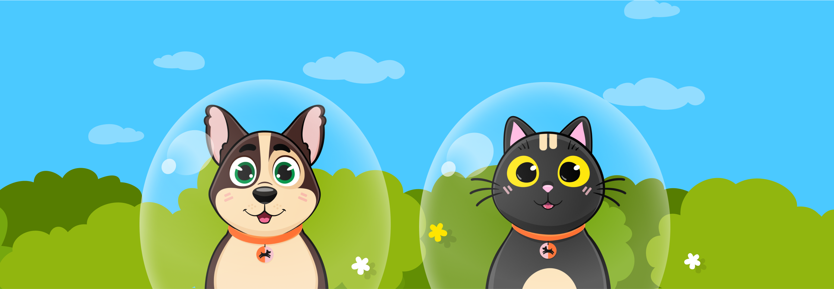 Поздравляем победителей!