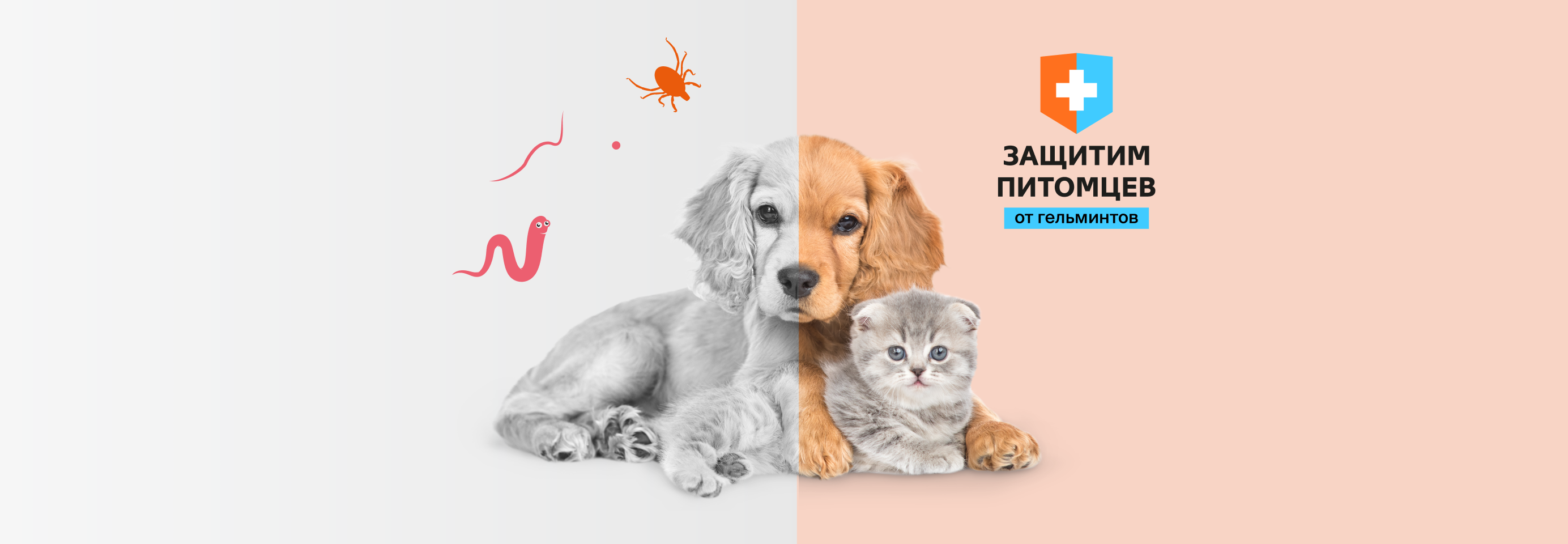 Дарим скидку 150 рублей на препараты от блох и клещей при покупке антигельминтиков