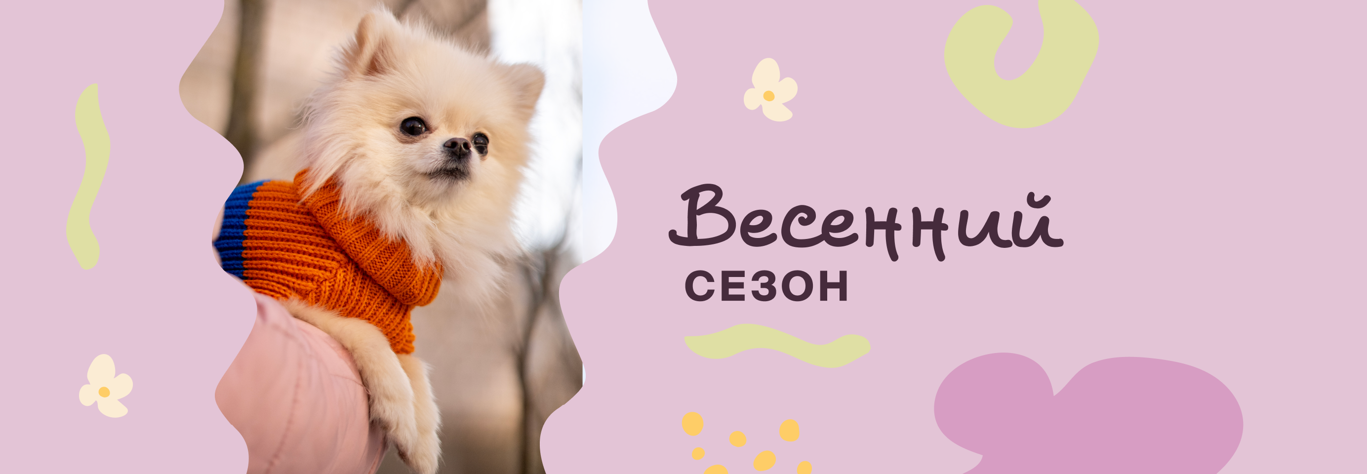 Собираем новый образ для питомца