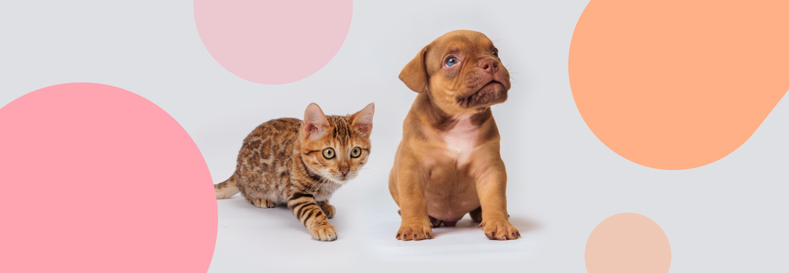 Все самое необходимое с первых дней