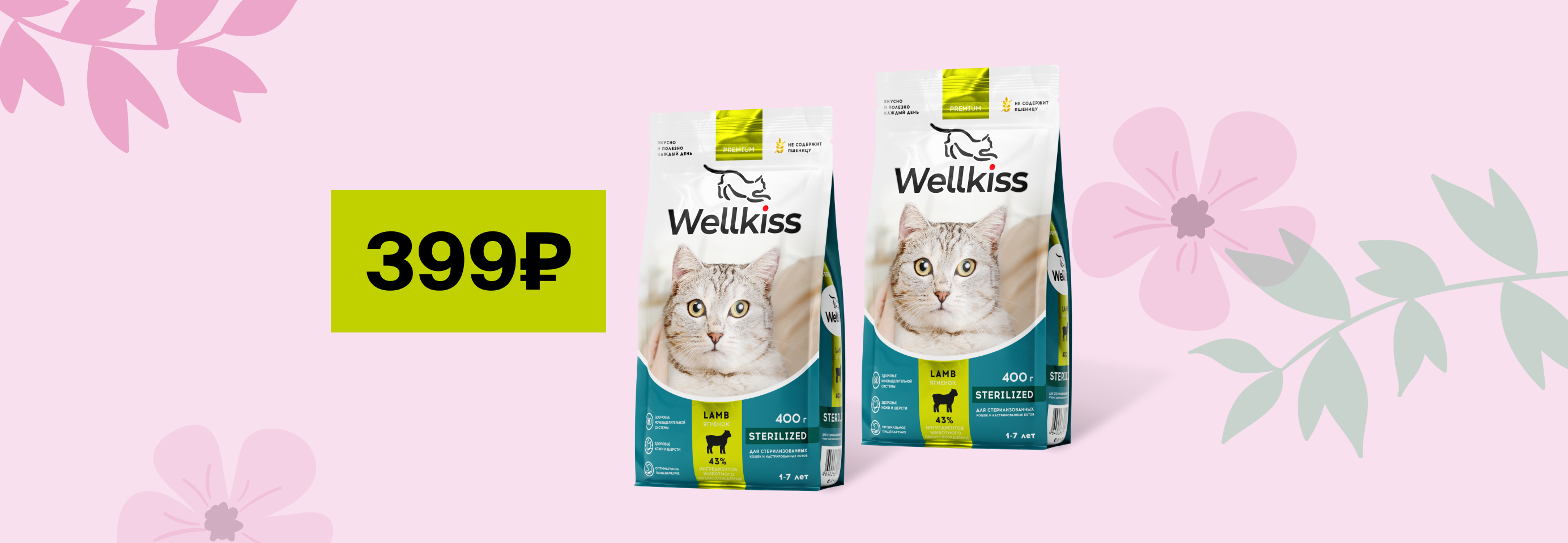 Wellkiss: -13% на сухой корм для кошек
