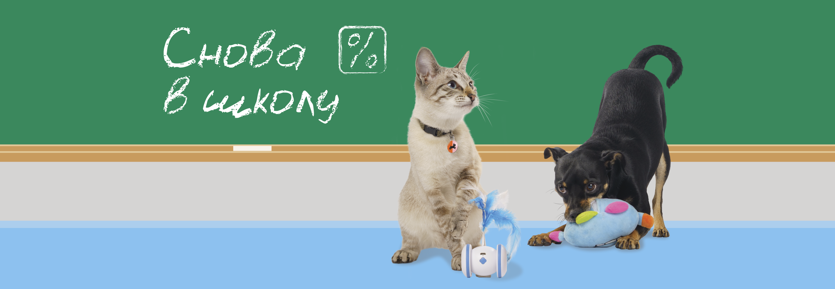 Интерактивные и развивающие игрушки для кошек и собак