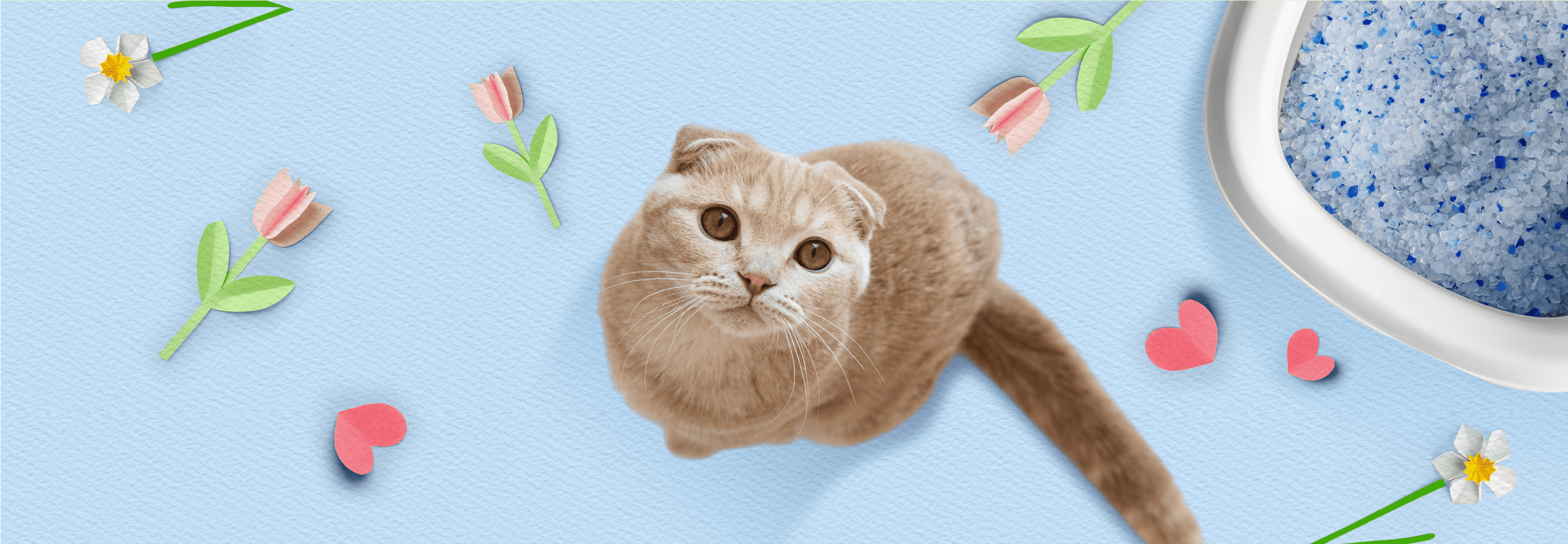 Наполнитель для кошачьего туалета. Какой выбрать?