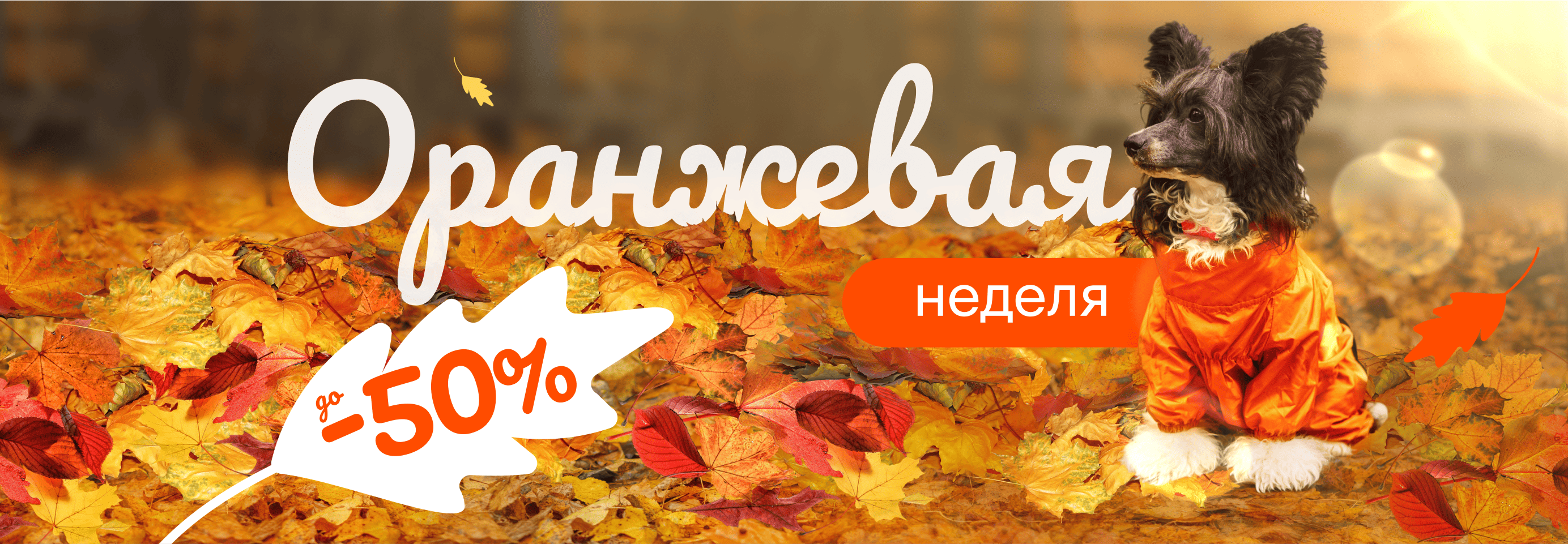 Корма, одежда, игрушки и другие аксессуары для питомцев