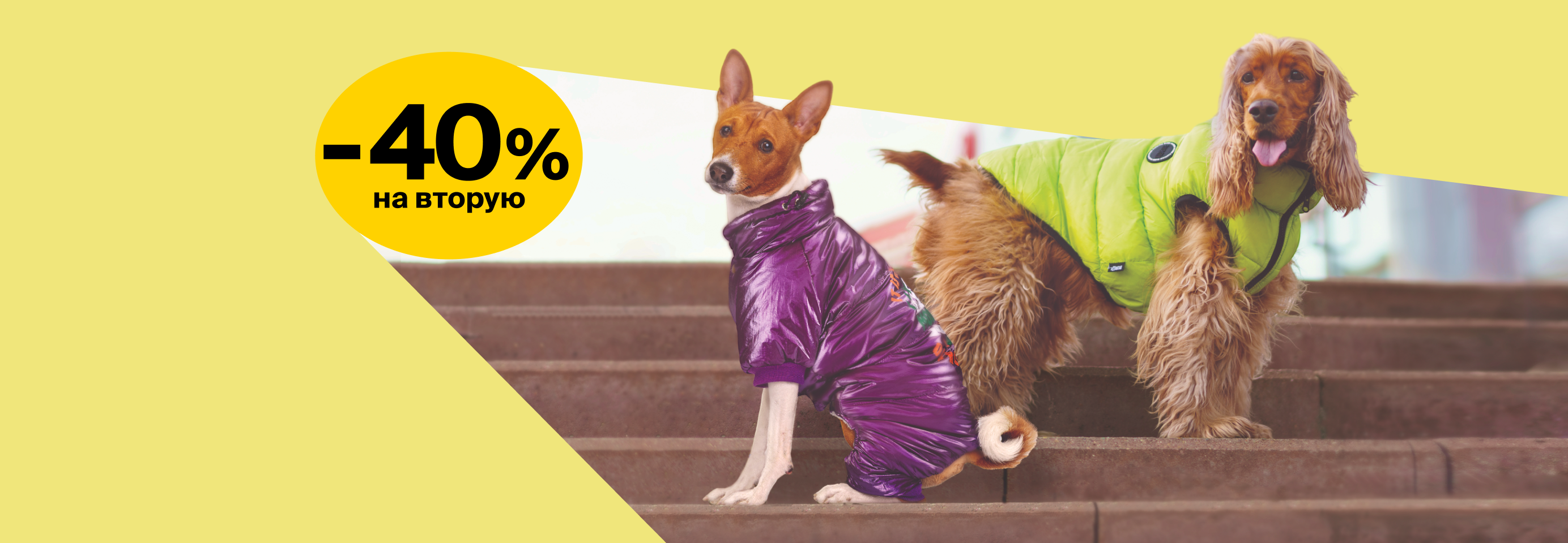 Модный сезон: -40% на 2-ю одежду и обувь