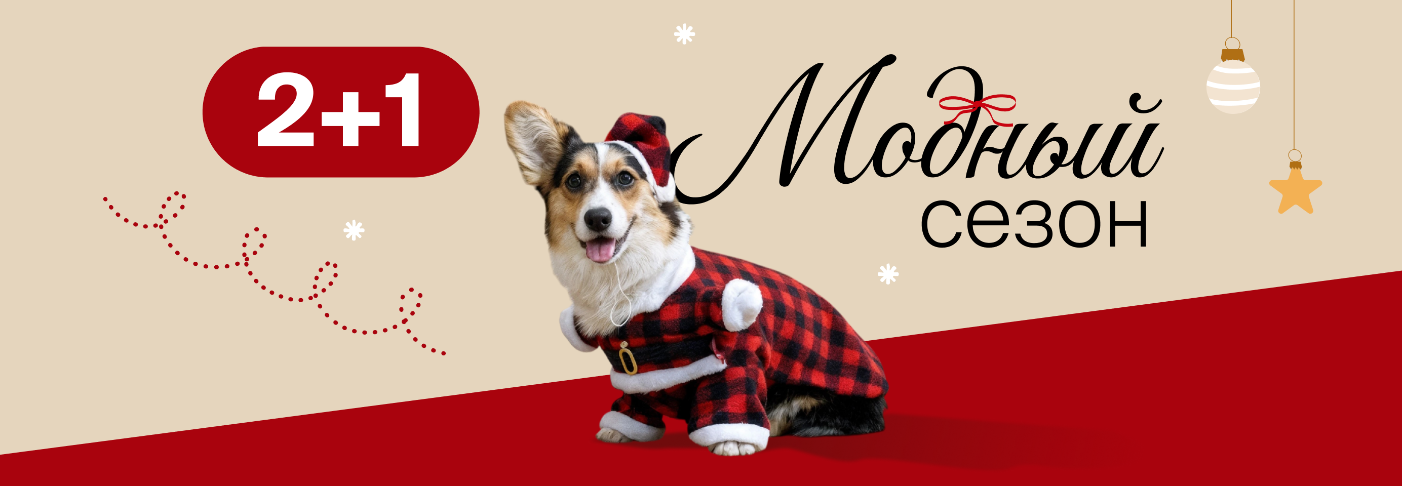 Собираем зимний гардероб для питомца