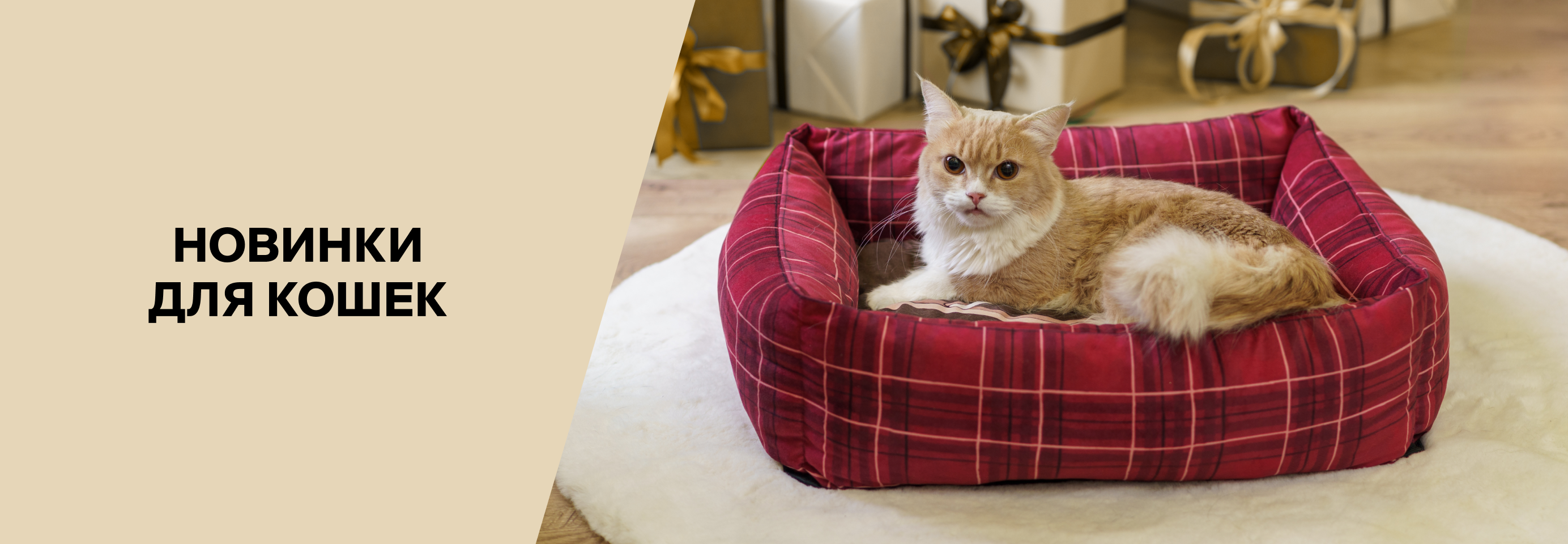 Новинки кормов, лакомств и аксессуаров для кошек