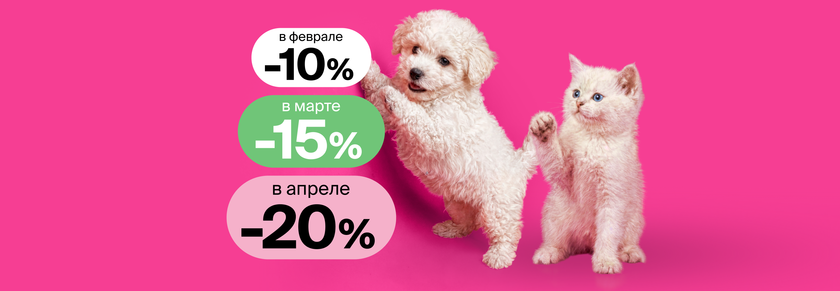 Календарь скидок на корма для котят и щенков
