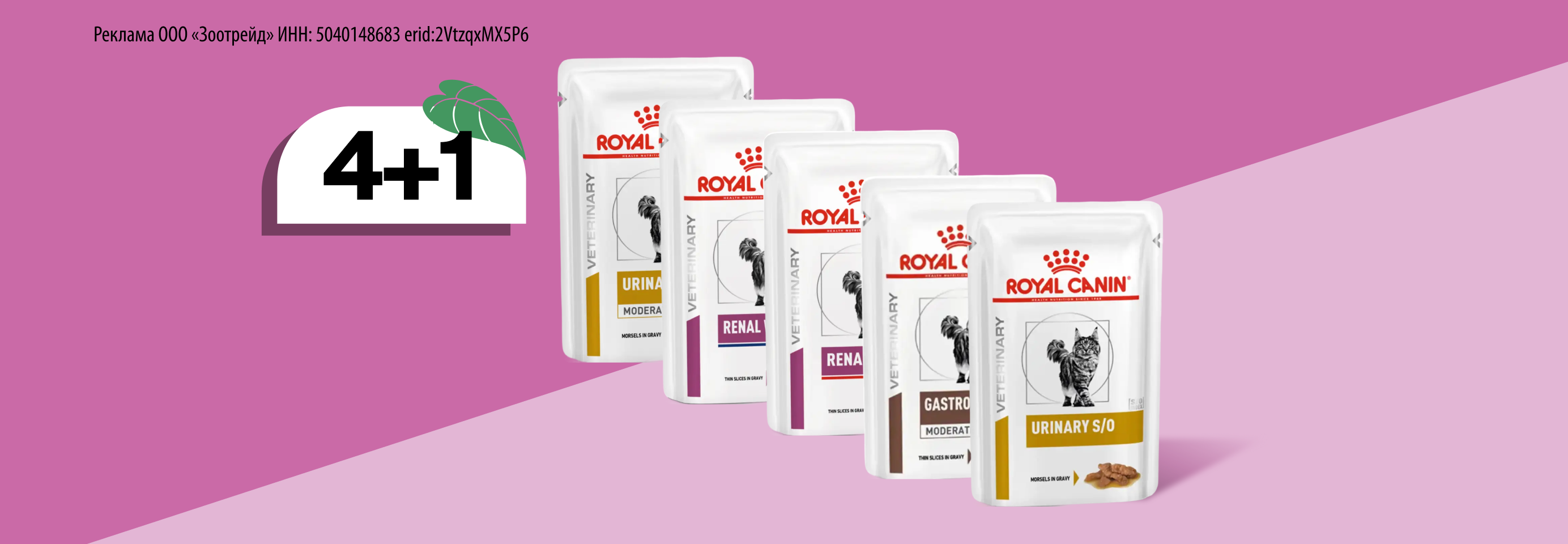 Royal Canin: 4+1 влажный корм для кошек в подарок