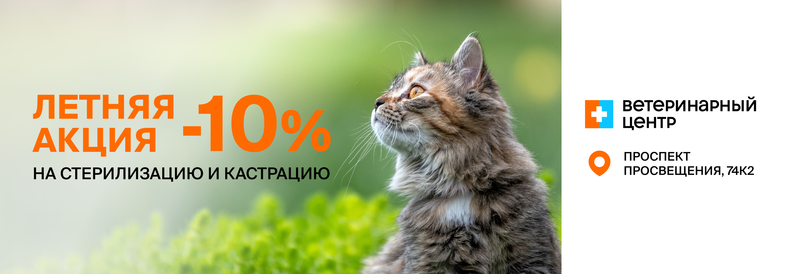 Скидка 10% на стерилизацию и кастрацию в Санкт-Петербурге