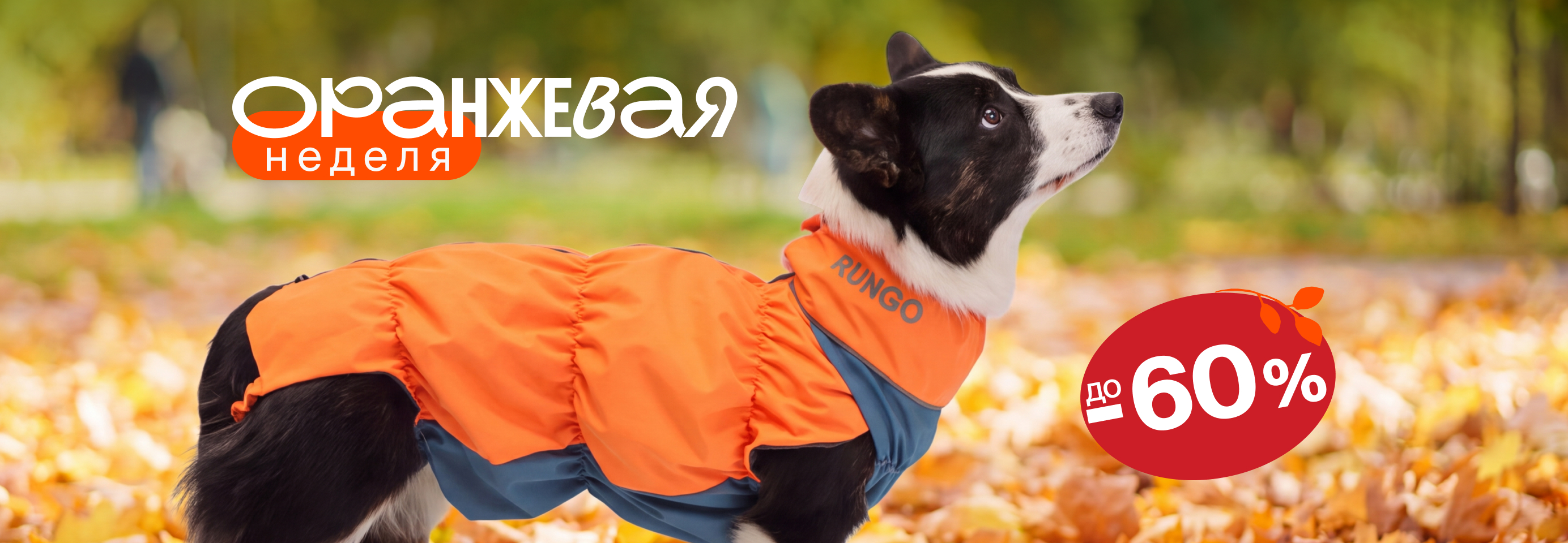 Корма, одежда, игрушки и другие аксессуары для питомцев