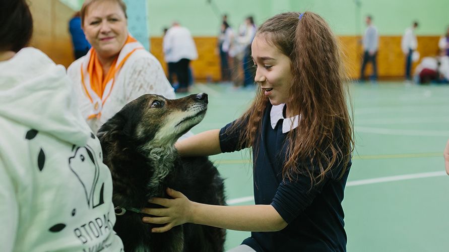 c34qr2QttSc (1)_891[500.jpg