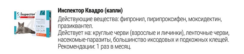 Инспектор Квадро Капли от внешних и внутренних паразитов