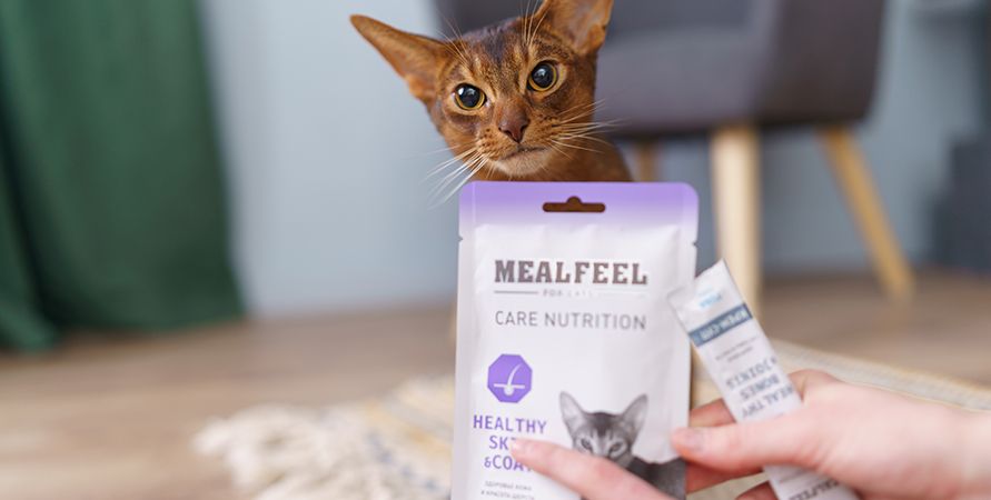 Новинка от Mealfeel! Аппетитные супчики для кошек