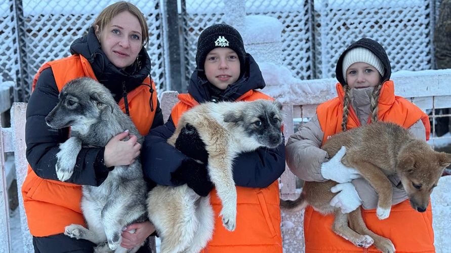 Волонтерская деятельность по помощи животным