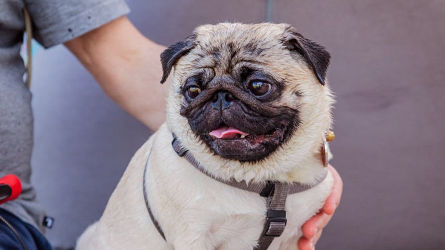 photo_2025-05-26_12-21-53 (2)_891х500.jpg