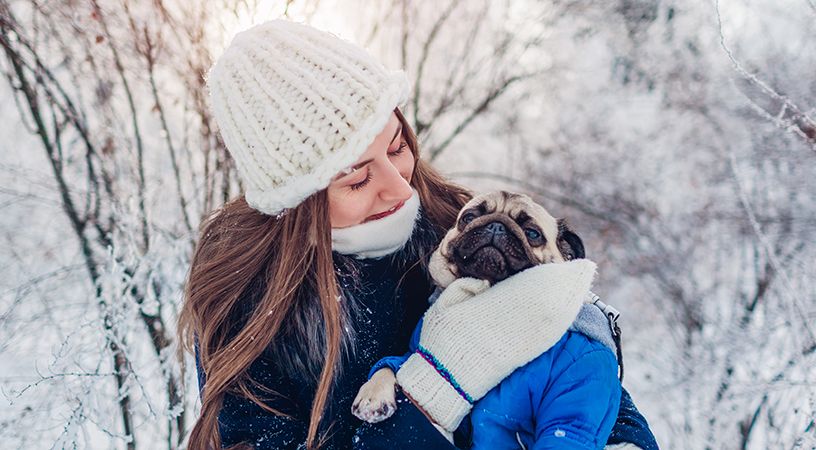 Как гулять с собакой зимой