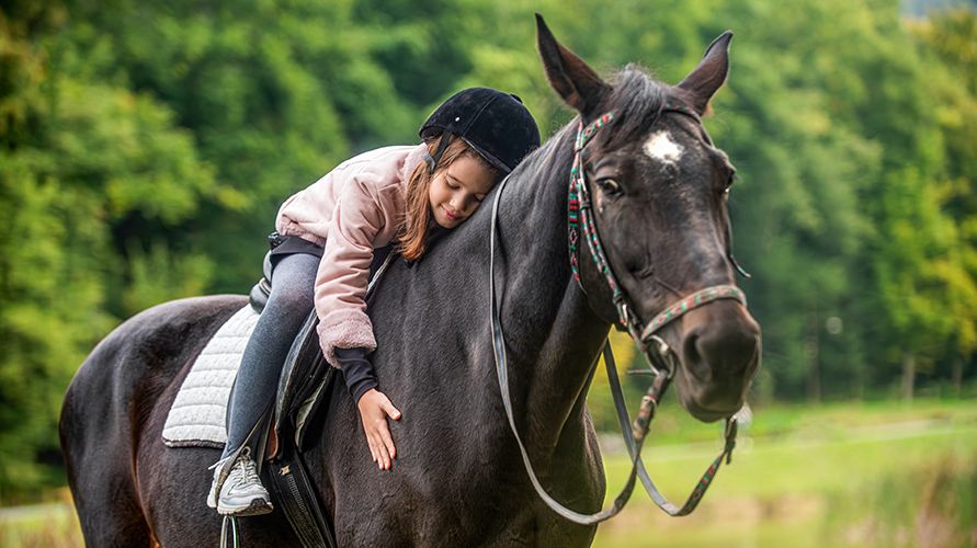 Животные-помощники человека: от древности до наших дней