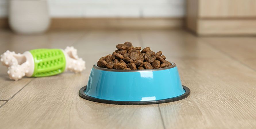 Монопротеиновый корм для собак