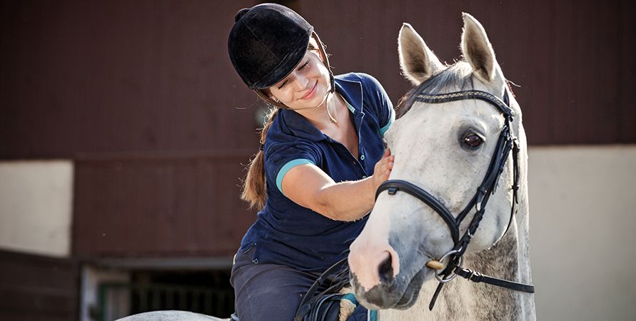 Лакомства для укрепления довери
