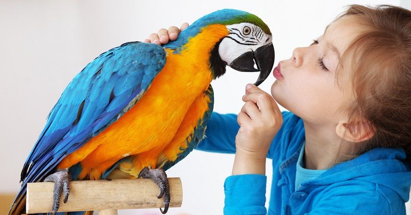 VLGU жатақханасындағы секс