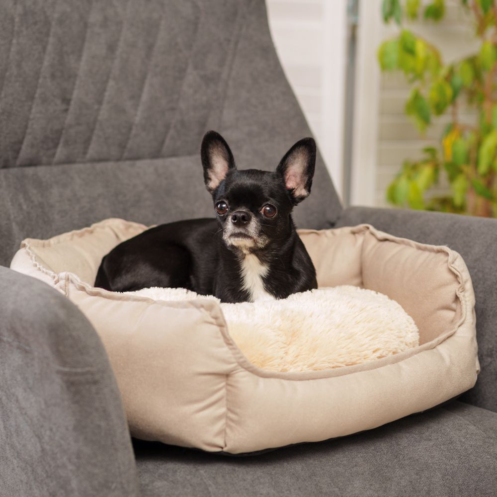 RURRI Лежак с мехом для кошек и собак мелких и средних пород, 46х46х15 см, бежевый