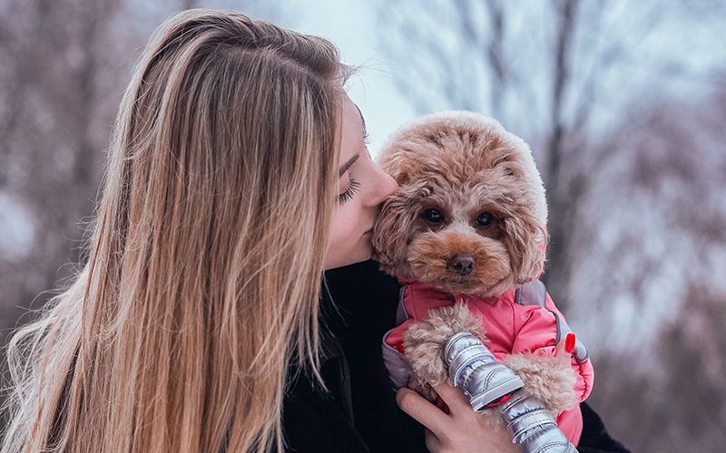 Как сфотографировать питомца