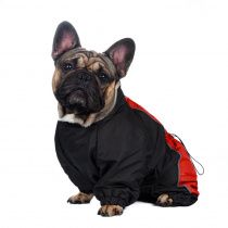 Комбинезон теплый Вельш-корги мальчик черный/красный Комбинезон теплый Вельш-корги мальчик черный/красный