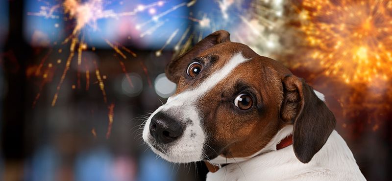 Осторожно, Новый год!