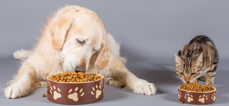 Преимущества линейки Ownat Classic