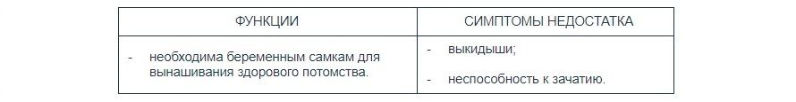 Как выбрать витамины для кошки