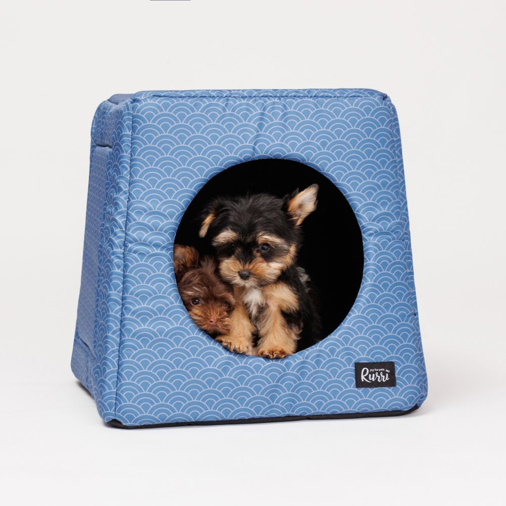 Дом-трансформер (3 в 1) для собак и кошек, 38х38х37 см, синий