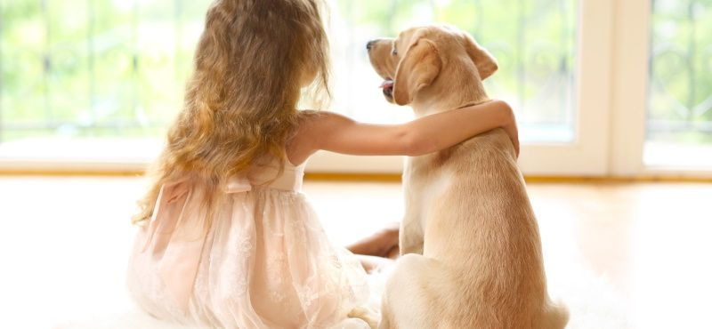 Собаки для детей: обзор пород, которые подойдут ребенку