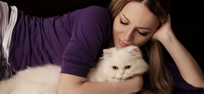 Какая порода кошек подходит Вам по знаку зодиака?