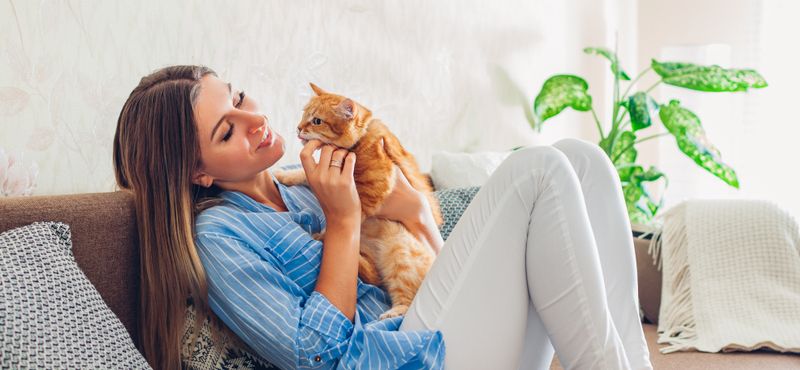 Идеи совместных игр с питомцем Идеи совместных игр с питомцем