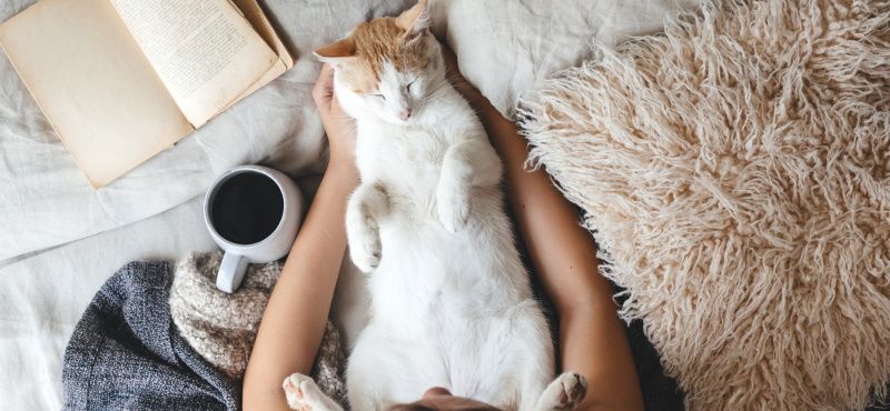 Пробиотики для кошек