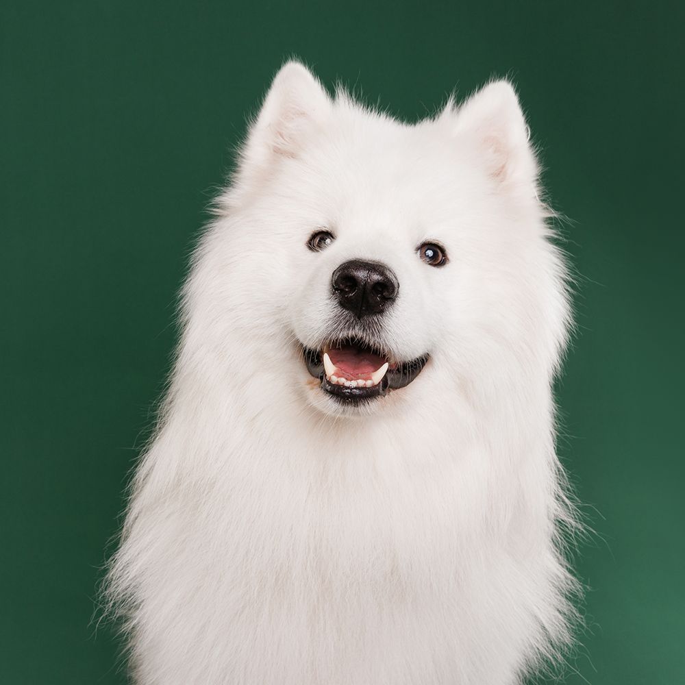 Прямой свет Прямой свет