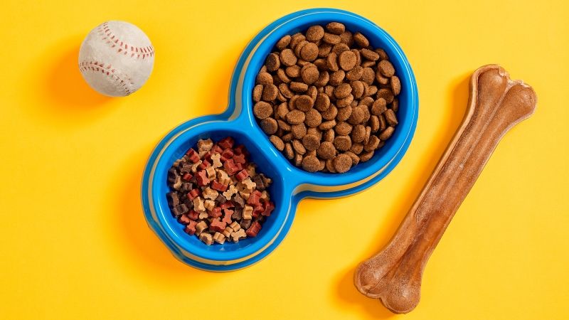 Лакомства для собак