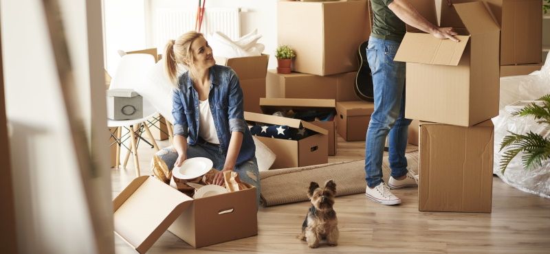 Как переехать с питомцем в новую квартиру