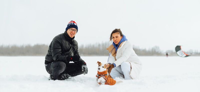 Игры с кошкой и собакой дома и на улице