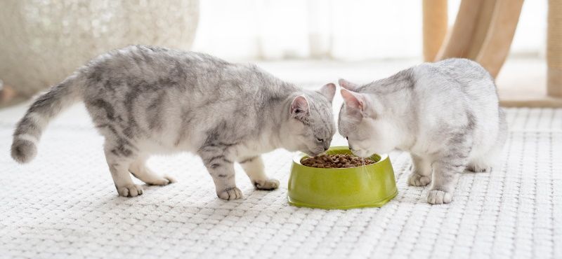 Преимущества линейки Ownat Classic