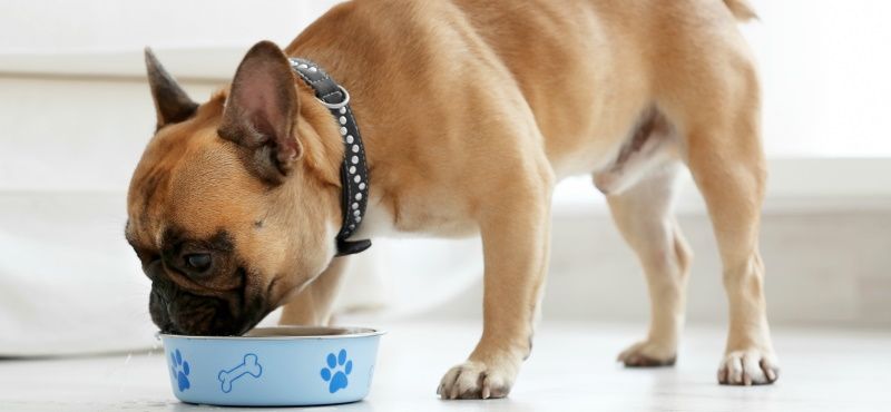 Преимущества линейки Ownat Classic