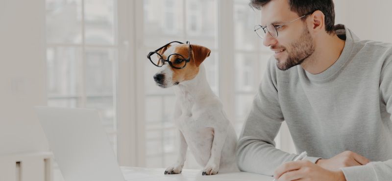 Pet-friendly офис