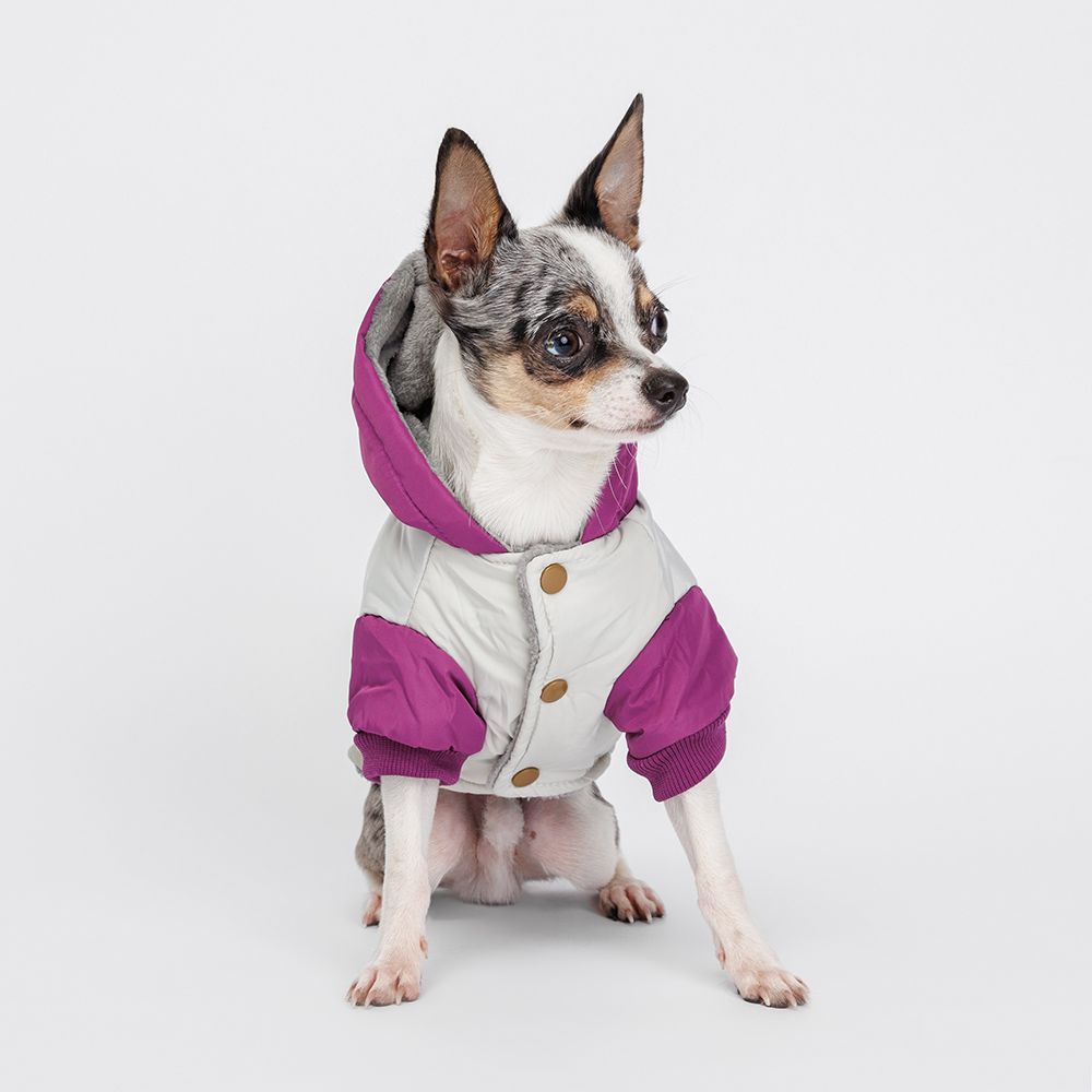 Petmax Куртка с капюшоном для собак, XS, серо-фиолетовая