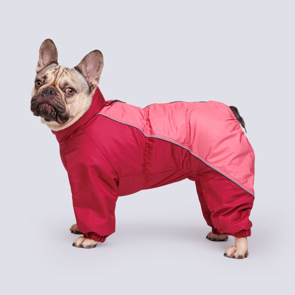 Rungo Комбинезон теплый для собак породы французский бульдог, 36x46x63 см, розово-бордовый, (девочка)