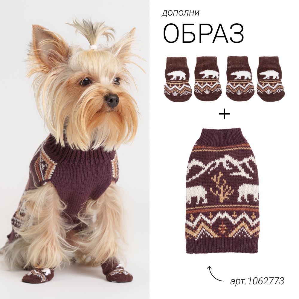 Petmax Носки с медведем для собак, S